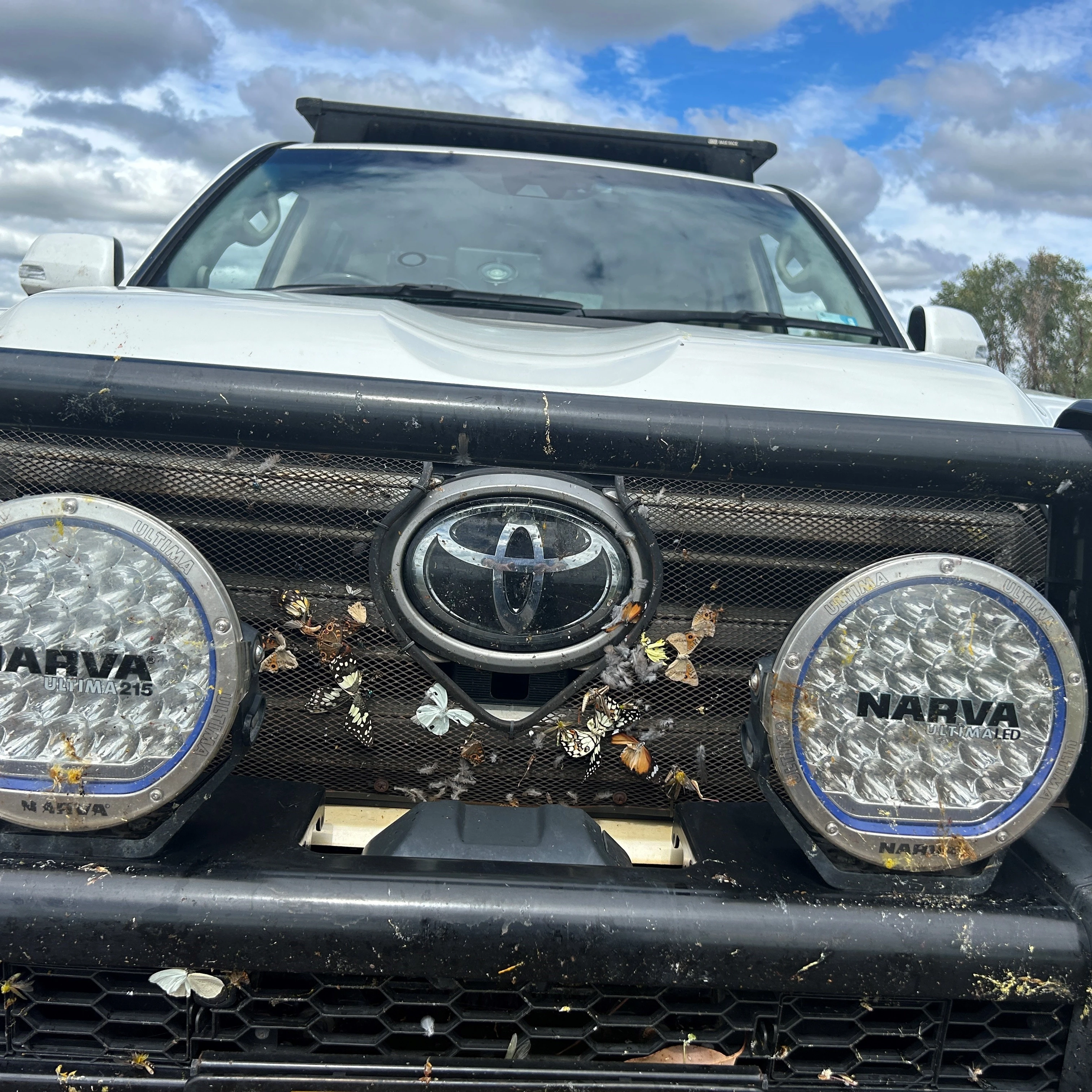 Insect Screens Suitable For Toyota Land Cruiser